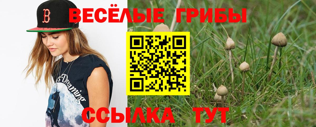 Камень-на-Оби  Галлюциногенные грибы мухоморы  Псилоцибиновые грибы Cubensis  Вход с VPN 