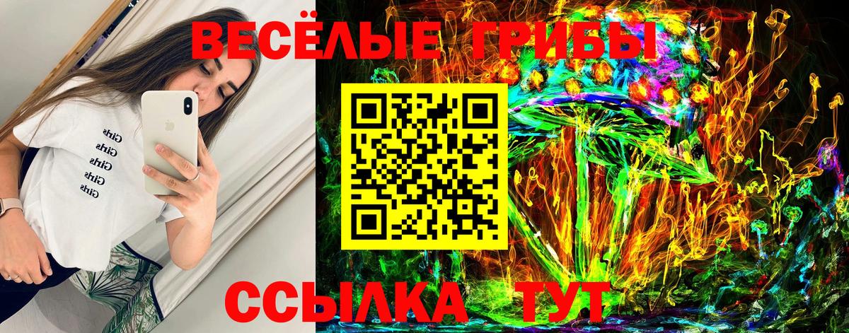 Псилоцибиновые грибы ЛСД Камень-на-Оби